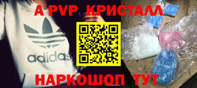 стаф Кинель