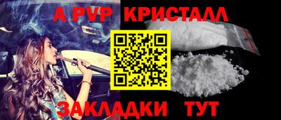 стаф Кинель